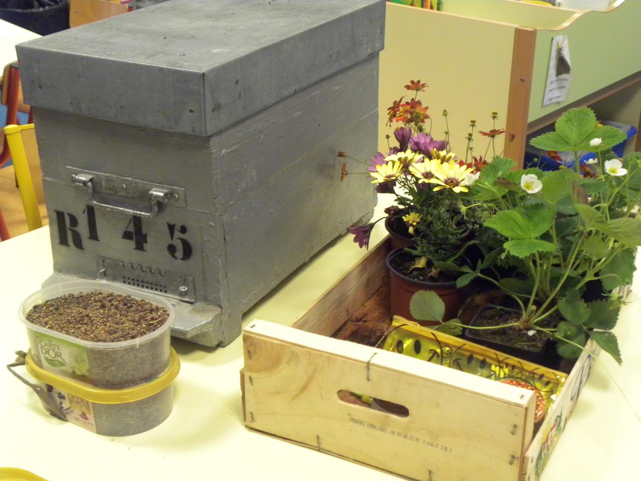 Initiation à l'apiculture dans les écoles de Cardet, Lezan et Lédignan.