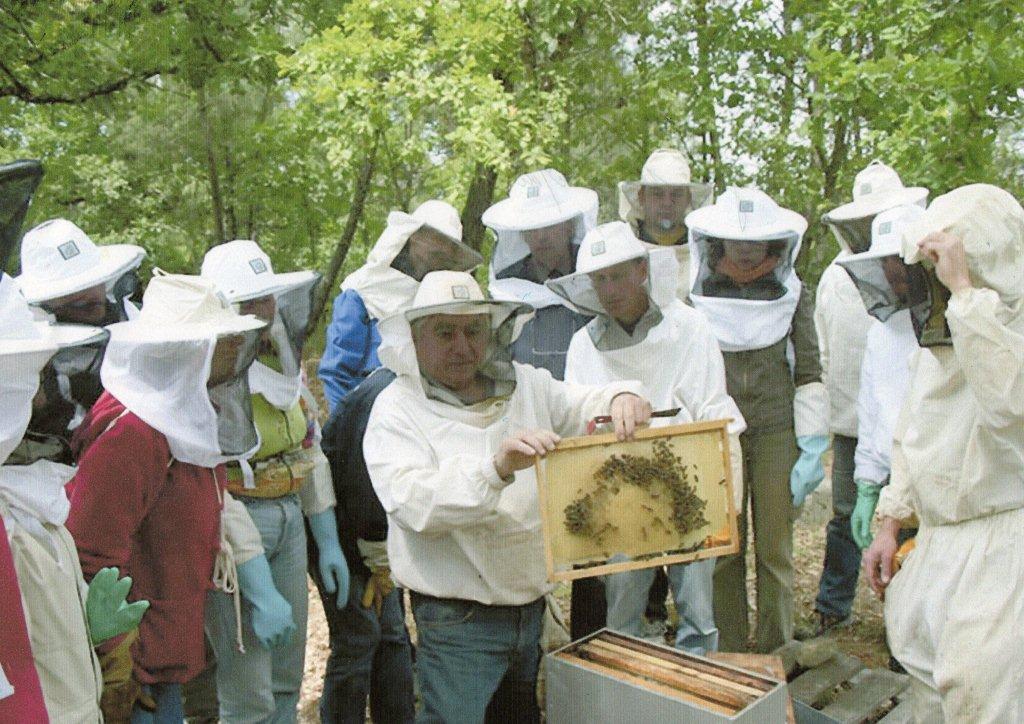 STAGE APICULTURE