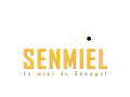 Senegal senmiel logo 1